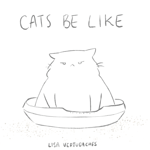 Obligatory and meaningless cat meme that adds nothing of value to the text