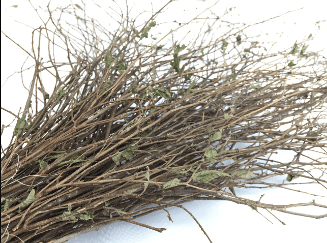 A bundled of twigs.